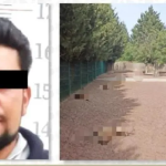 Capturan a presunto implicado en asesinato de periodista de Tabasco
