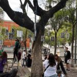 Swiatek dice adiós a su reinado en Roma