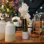 Un nuevo espacio de diversión con dos ambientes