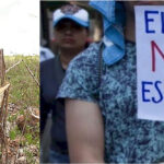 FILANTROPÍA/ Pecados inconfesados de la IA