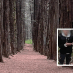 Cateos en la Miguel Hidalgo desmantelan puntos de narcomenudeo en la colonia Anáhuac