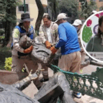 Venus Williams, de 45 años, reaparecerá en el DC Open tras 16 meses de inactividad