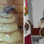 Ovidio Guzmán se declara culpable de narcotráfico en EE. UU.