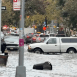 Peter Preziosi, de TruMerit, elegido presidente de la CoNGO