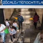 Guardia Civil de España incauta 472 animales exóticos en un “falso refugio”