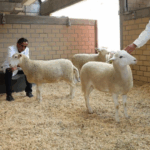 El frente frío 15 dejará lluvias fuertes y caída de nieve en el norte