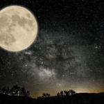 Caen clonadores de tarjetas bancarias en CDMX; 3 son extranjeros