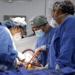 Nuevo incidente ferroviario… pero en Europa; suspenden viajes en 4 países