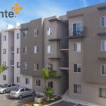 CDMX activa Operativo Perro Peregrino 2025 para atender abandono animal durante festejos guadalupanos