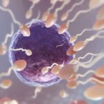 Liz Salgado presenta reforma a la ley de salud de la Ciudad de México, a fin de asegurar la Institucionalización y establecer la progresividad del programa “Salud en tu casa”