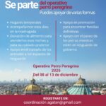 Vinte nombra nuevo Director General a partir del 1 de enero de 2026