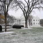 Promedio de homicidios diarios bajó 37% respecto a septiembre de 2024: SESNSP