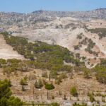 Xinhua Noticias | China registra más de 1.400 millones de viajes interregionales en primera semana de temporada alta de la Fiesta de la Primavera