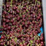 (Multimedia) Ampliación: Xi insta a impulsar la investigación básica para innovaciones originales