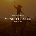 Urgente: Asesinan a tiros a cinco personas en provincia sudafricana de Gauteng