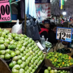 “El esquema en Bahía de Banderas es correcto: no es despojo, es recuperación”, explica la presidenta